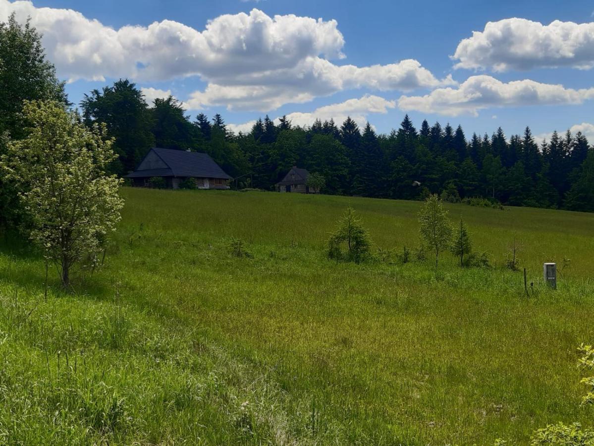 Kuznia Nowica Appartement Uscie Gorlickie Buitenkant foto